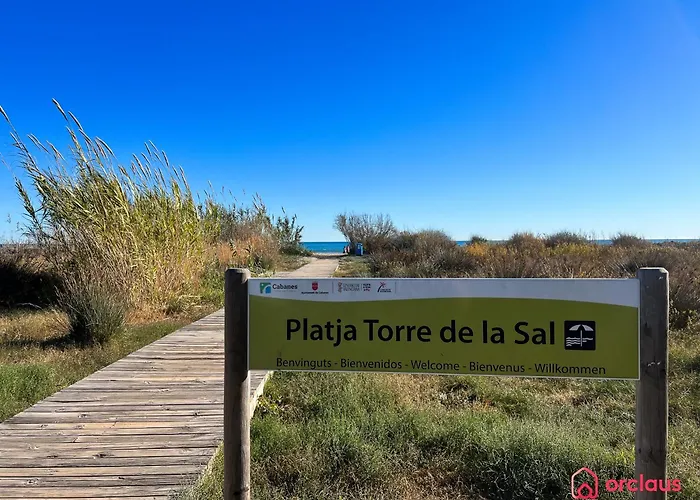 Mirada Al Alba *